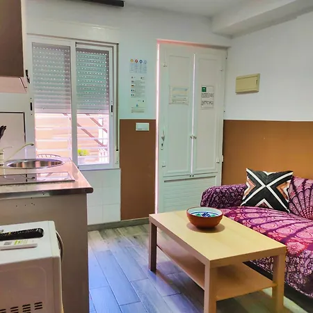 Premium With Terrace Apartment