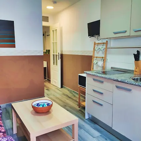 Premium With Terrace * Malaga