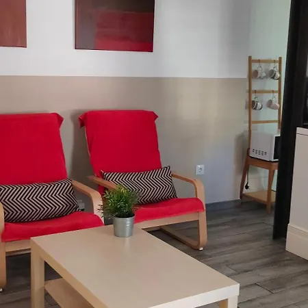 Apartment Premium With Terrace