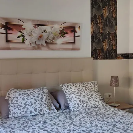 Premium With Terrace