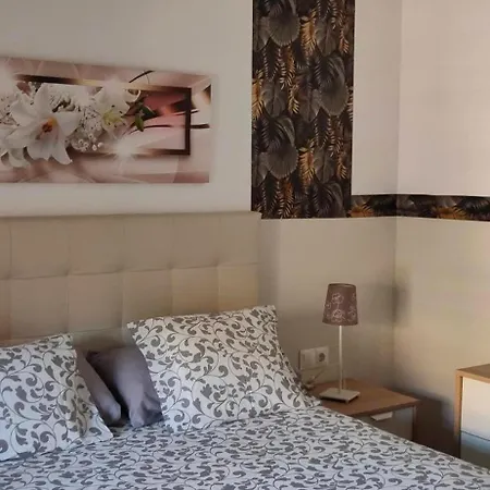Apartment Premium With Terrace