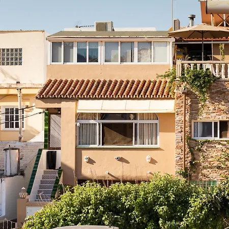 Apartment Premium With Terrace