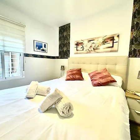 Apartment Premium With Terrace