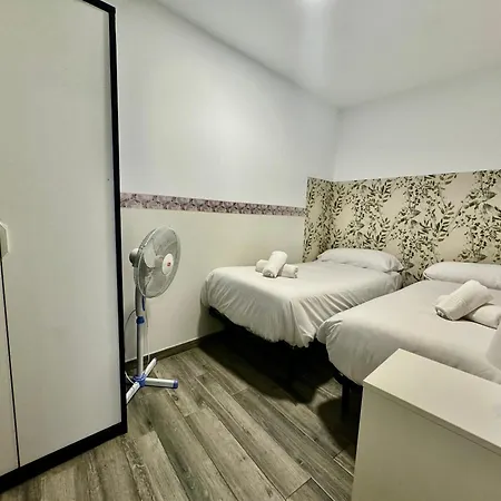 Apartment Premium With Terrace
