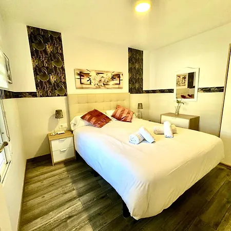 Apartment Premium With Terrace Malaga