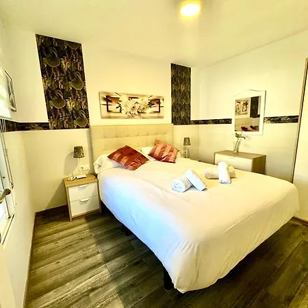Apartment Premium With Terrace Malaga
