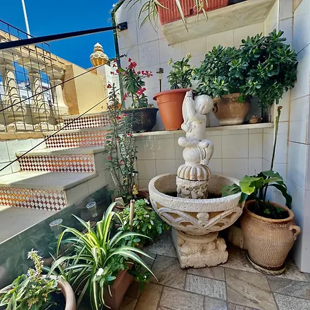 Premium With Terrace Appartement